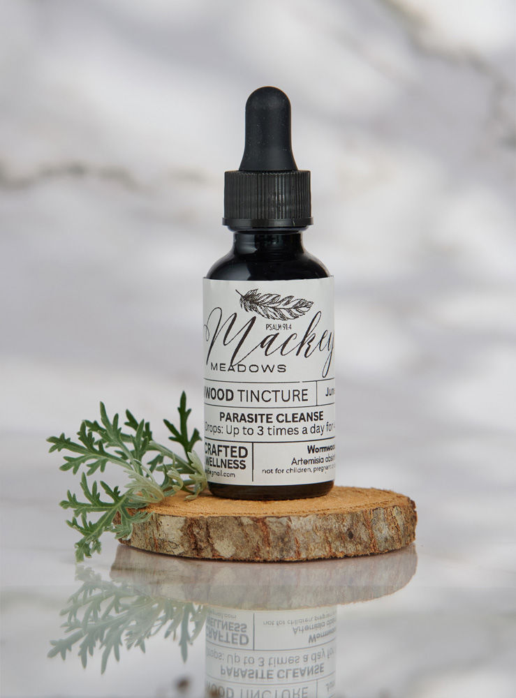 The Power of Wormwood (Artemisia absinthium)