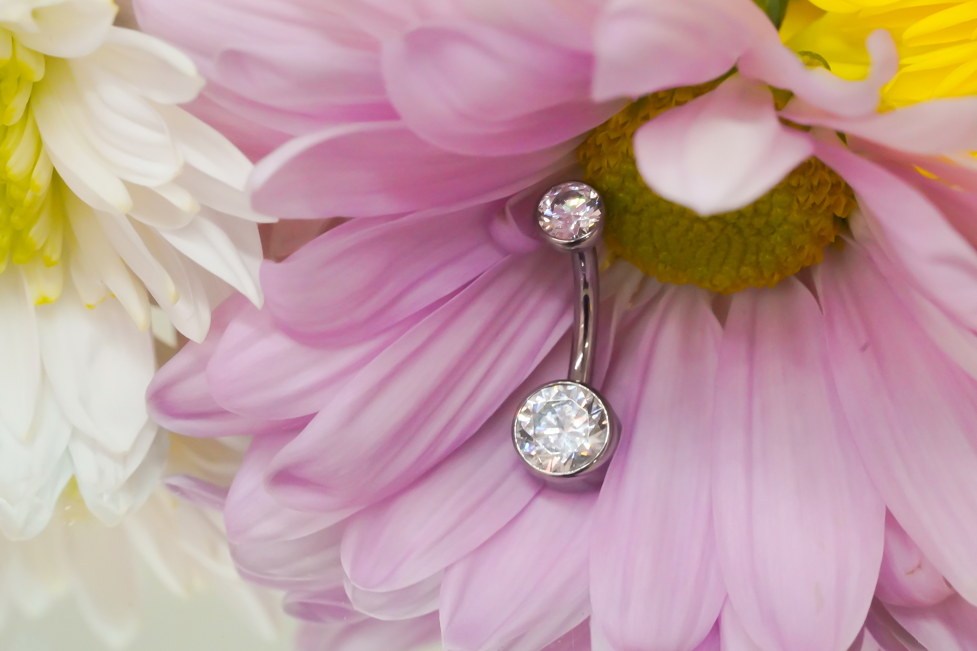 Purity Body Arts Luxury Jewelry and Piercing in the French Quarter of New Orleans Louisiana