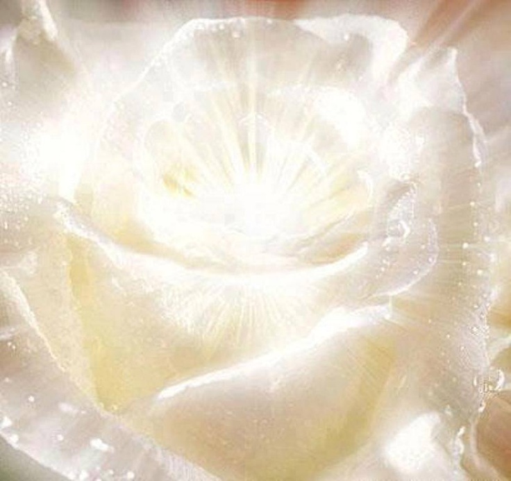 the white flame of original purity spiritual retreats katy