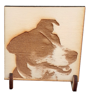 perro.PNG
