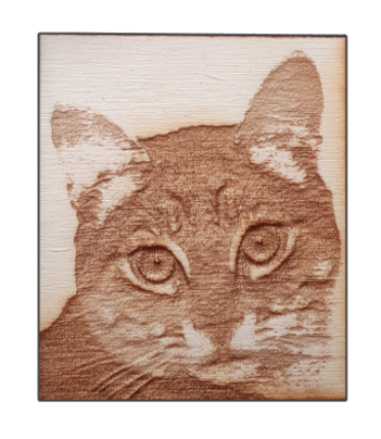 gato.PNG