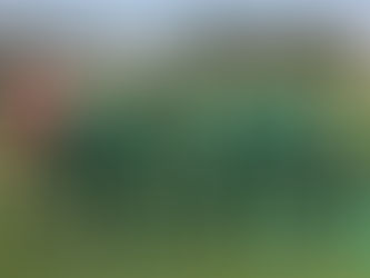 ジュニアユース〜県クラブユース選手権予選ラウンドと高円宮杯U-15リーグ和歌山１部第４節の結果