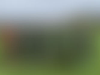 🌟ジュニアユース情報🌟県クラブユース選手権第１節の結果