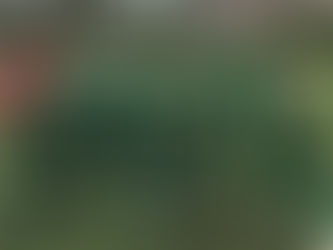 ジュニアユース〜高円宮杯U-15リーグの結果