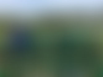 ジュニアユース〜県クラブユース選手権ファイナルラウンド第２戦の結果