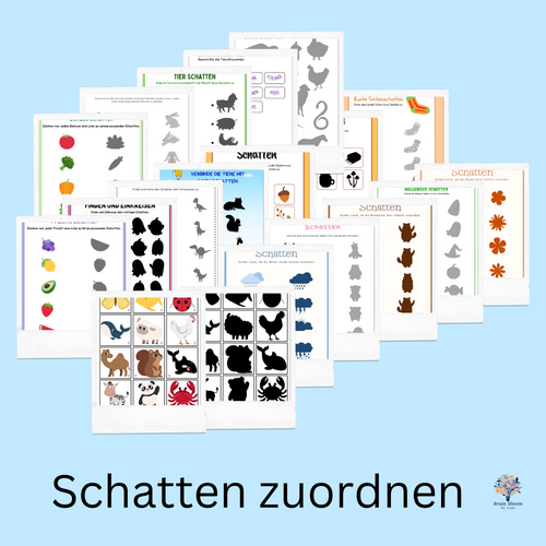 Schatten zuordnen