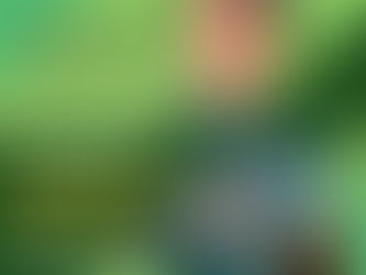 🟢木下哲星選手 加入のお知らせ🟡