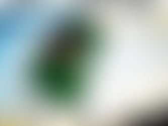 【トレーニングマッチのお知らせ】