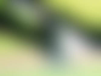 【山内達朗選手 移籍先決定のお知らせ】