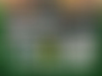 【次のホームゲームは関西リーグ第9週】