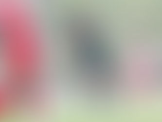 【谷口祐亮選手 移籍先決定のお知らせ】