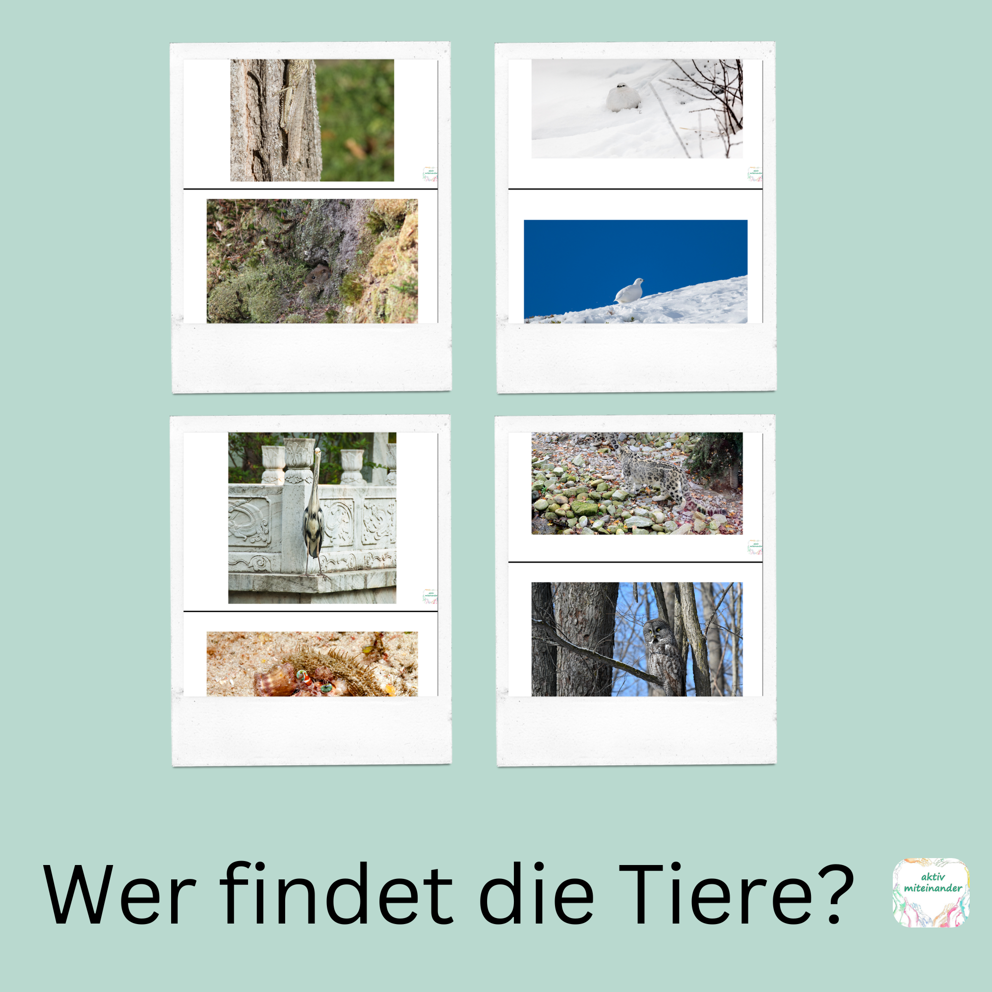Wer findet die Tiere?