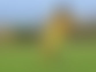 👑サポーターが選ぶ2019ベストゴールその６👑