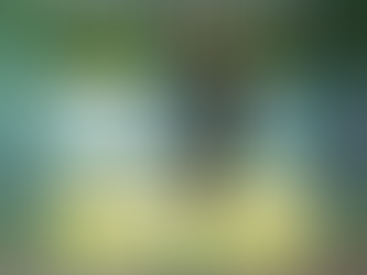 【谷口祐亮選手 退団のお知らせ】