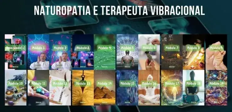 Curso Naturopatia e Terapeuta Vibracional com Otavio Leal