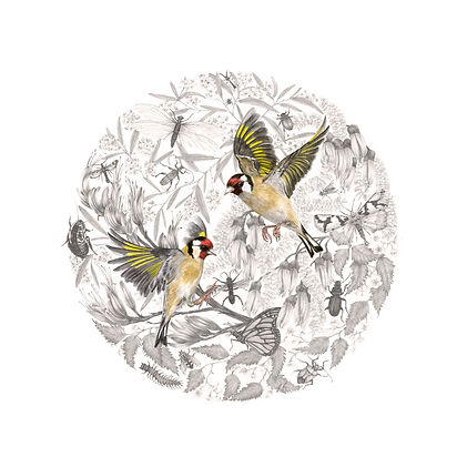 Goldfinch Mandala
