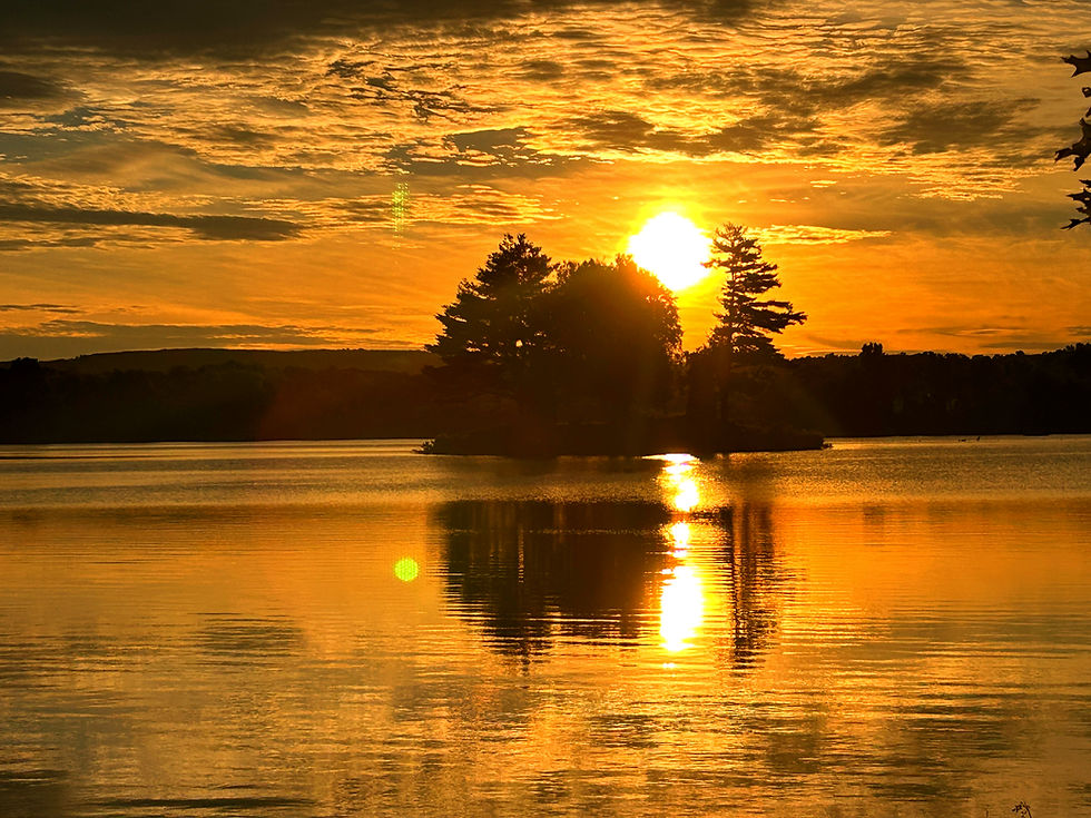 Golden Hour Gathering (2)