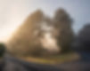 Is there ever a choice and for that matter a choicemaker 20210514.jpg