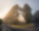 Is there ever a choice and for that matter a choicemaker 20210514.jpg