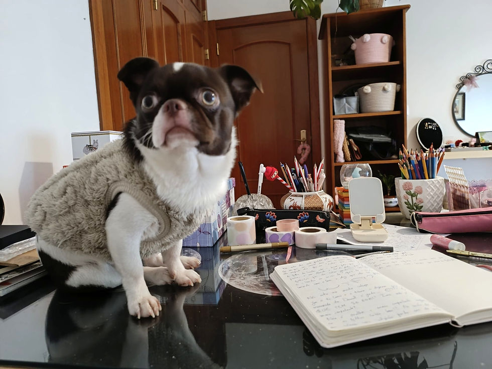 secretária com cão, caderno e material de escrita