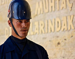 A pictorial guide to the glamour of armed conflict