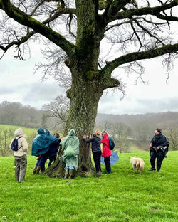 WhatsApp Image 2026-02-21 at 16.16.58