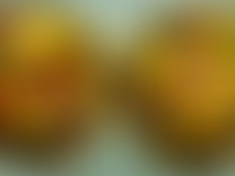 Deliciously Easy Ultimate Black Bean Tostadas for Your Next Meal