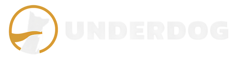 Max Stream Template(25).png