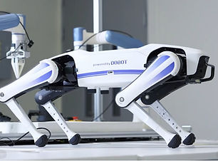 Rover explor 2.jpg