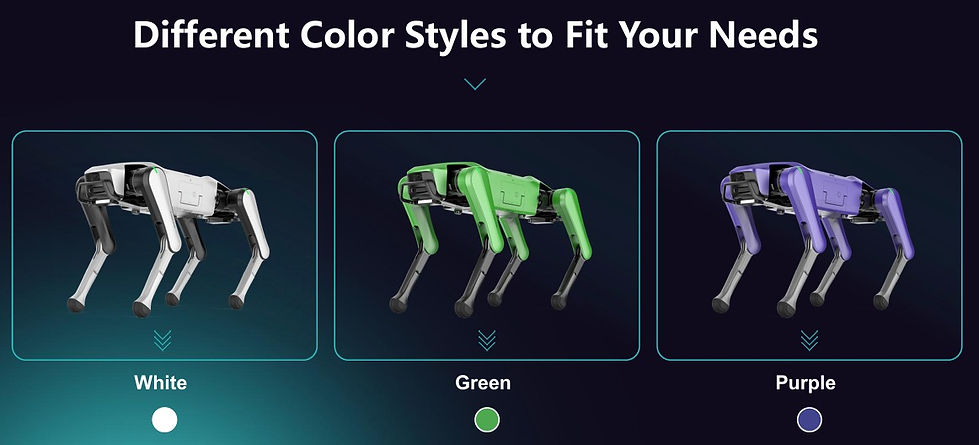Rover x1 Colors.jpg