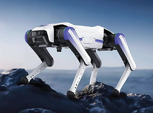 Rover explor.jpg