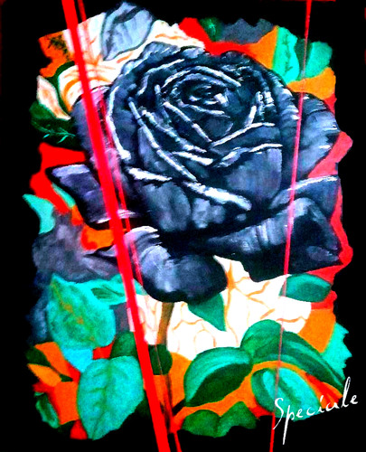 The Black Rose | Pjs Studios