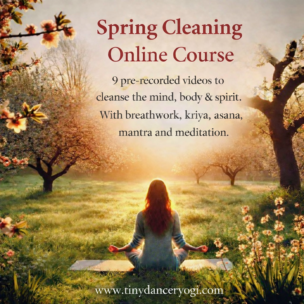 Online Spring Cleaning Course