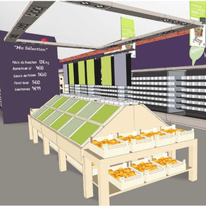 PROXY-DELHAIZE (Minale Design Strategy)