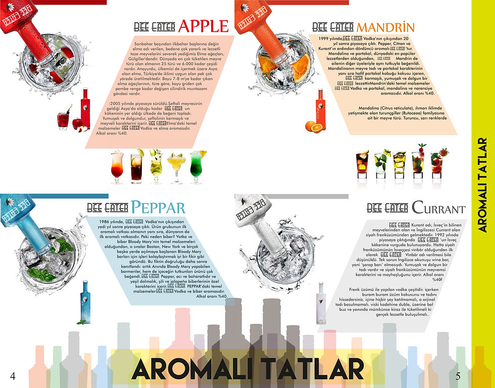 Aykan Broşür 2-4.jpg
