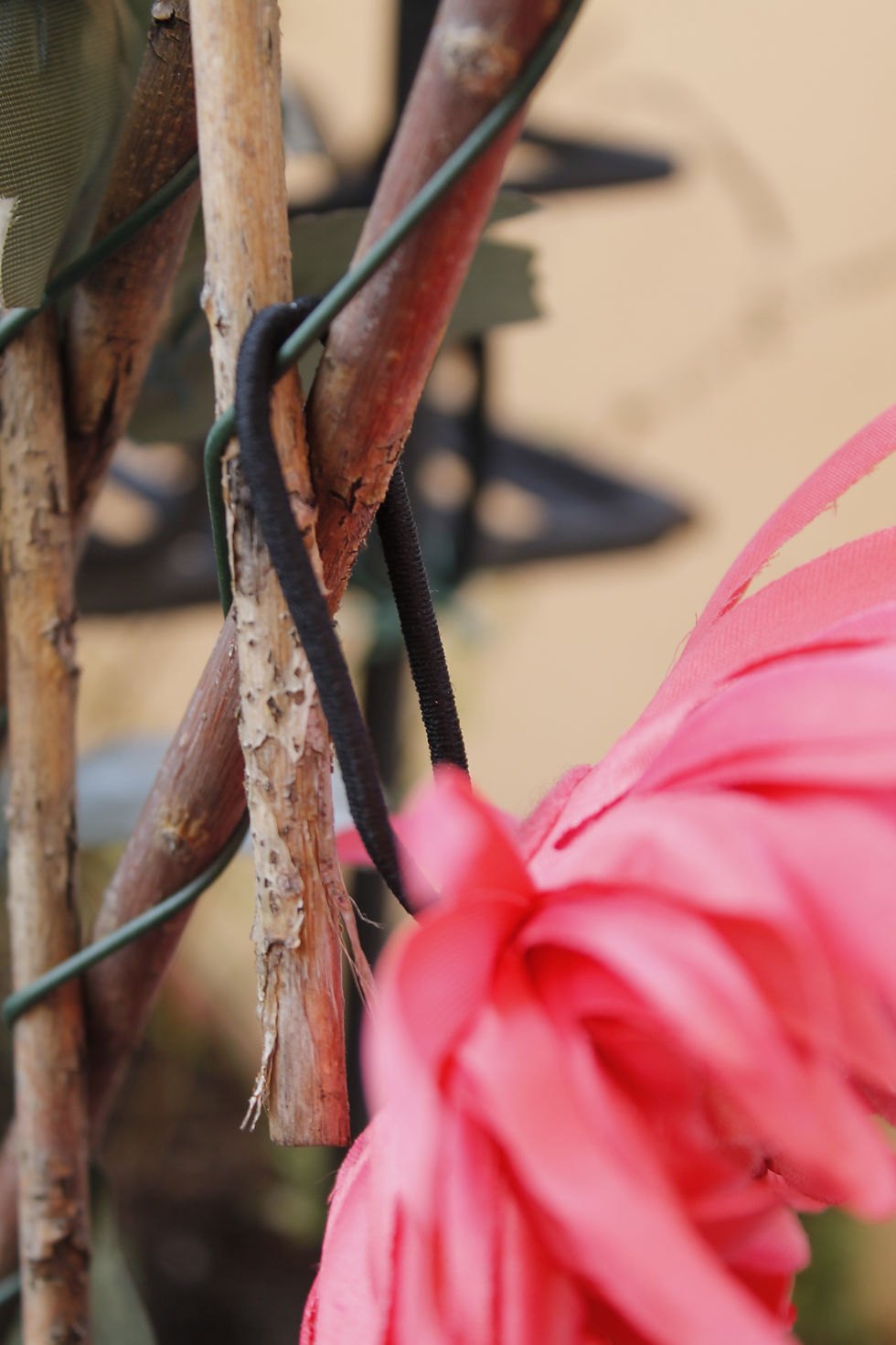 Miniatura: COLETTE CORAL