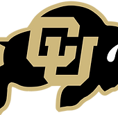 Waxahachie High School Football alumni