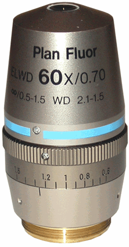 NIKON PLAN FLUOR 60X ELWD-2.gif