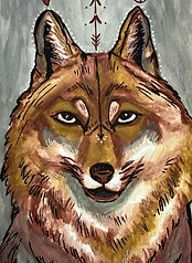 coyote.jpg