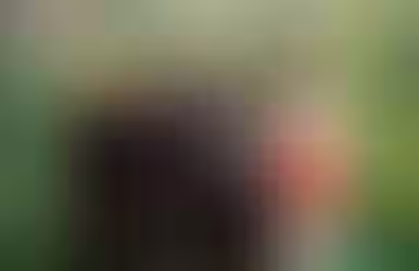 Evolución de los arreglos residenciales en la vejez y sus determinantes.