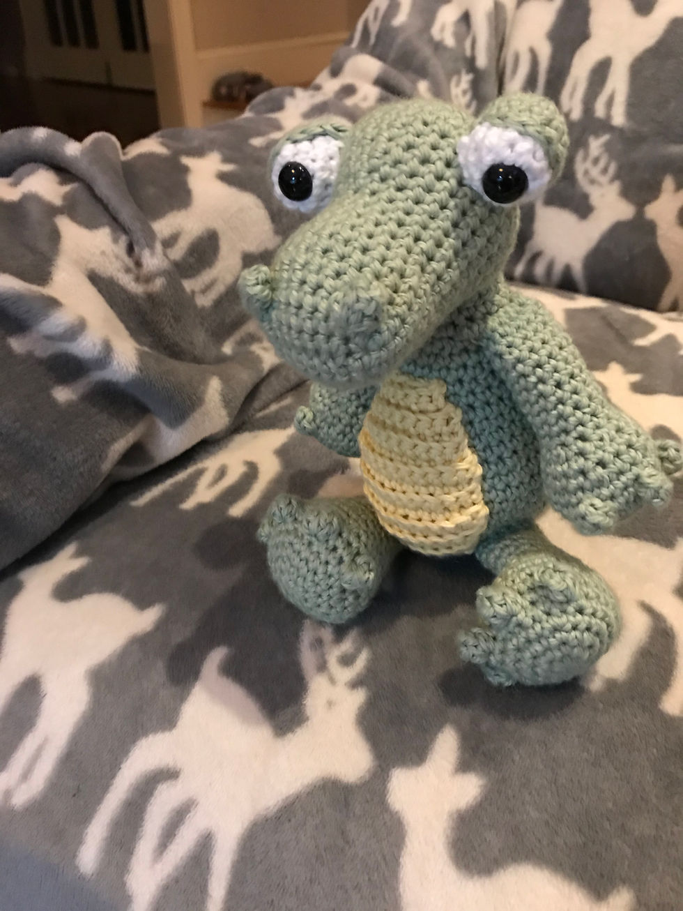 Alligator