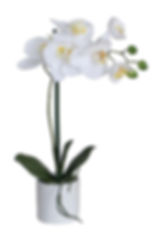 A 35cm artificial white orchid plant with several flowers and green leaves in a white ceramic pot on a white background.