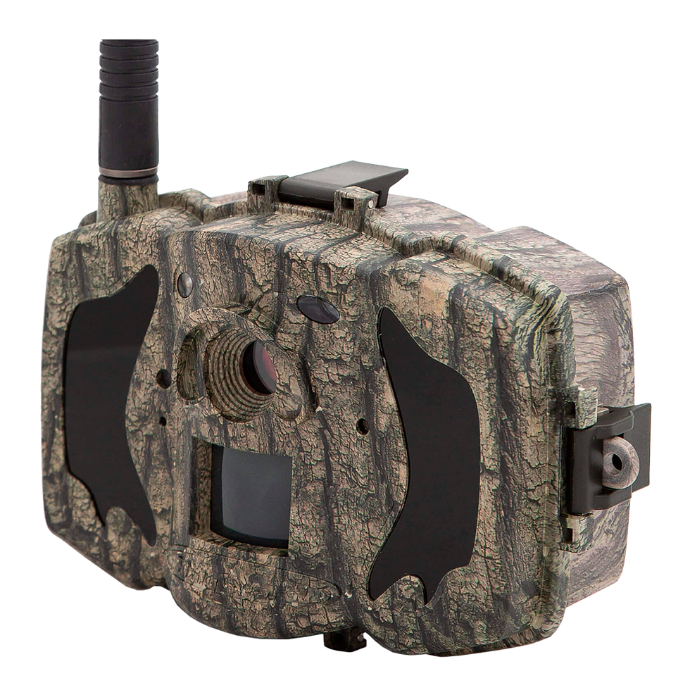 BolyGuard MG984G - Cámara fototrampeo 4G - GPRS - Resolución 8 Megapixel…