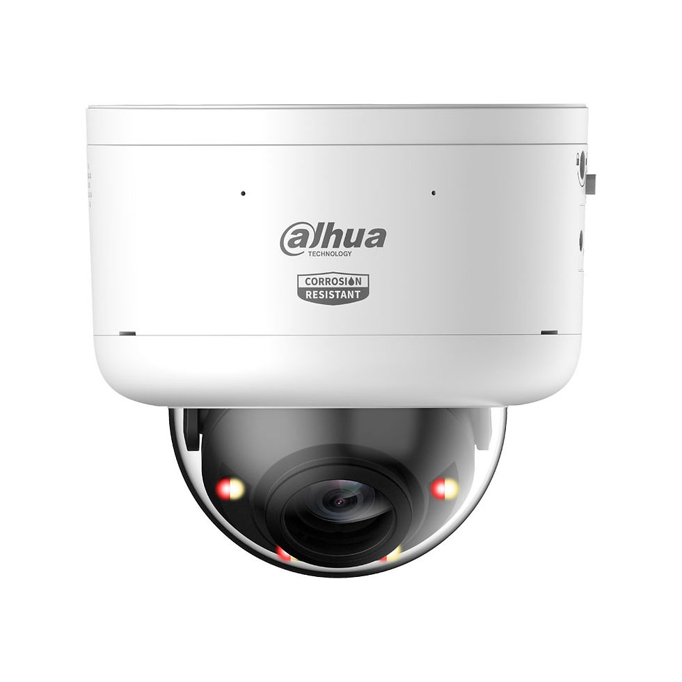 Domo IP Dahua WizMind 5 anticorrosión de 4MP con WizColor, PTRZ y disuasión…