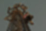 tower_rigger_3_edited.jpg