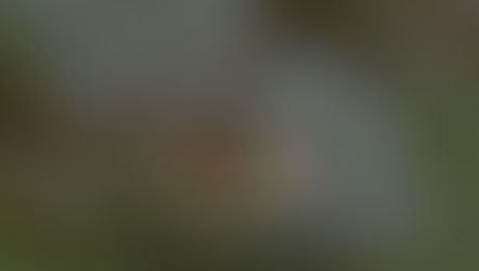 The Real “Last Temptation of Christ”