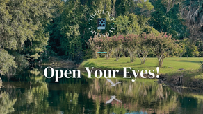 (WATCH) Open Your Eyes! — My experience with ALLIGATORS!