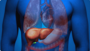 It's Hard to Live Without a Liver, Lungs—That's What Paul Said