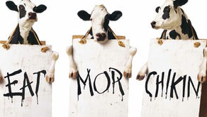 Is Boston in America?