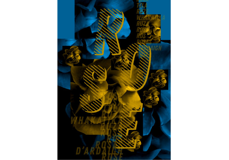 a blue and yellow poster with the word rose on it